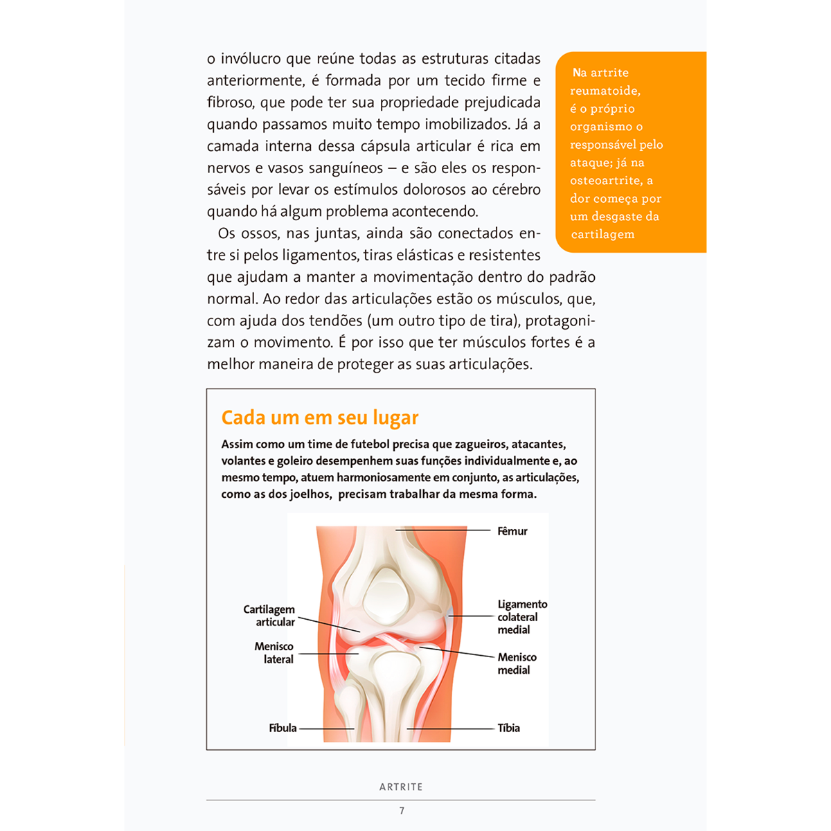 Artrite e Dores Articulares Como tratar e combater as inflamações