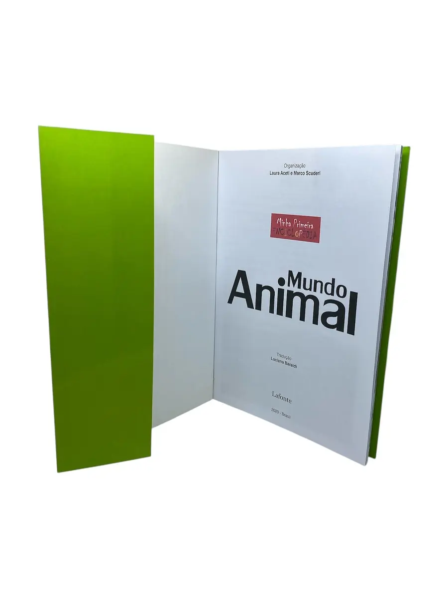 0358_minha-primeira-