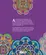 No Jardim das Mandalas