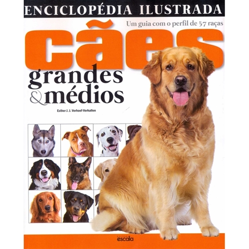 Mundo Pet Magazine **: Dogue alemão